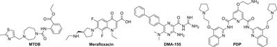 Corrigendum: Inhibition of SARS-CoV-2 by Targeting Conserved Viral RNA Structures and Sequences